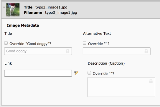 Several fields with their placeholder override checkboxes