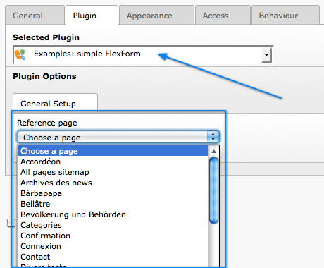 A simple FlexForm field