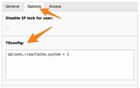 The TSconfig field in the Options tab of a BE user