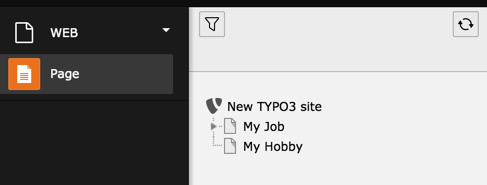 Only selected pages are accessible to the user