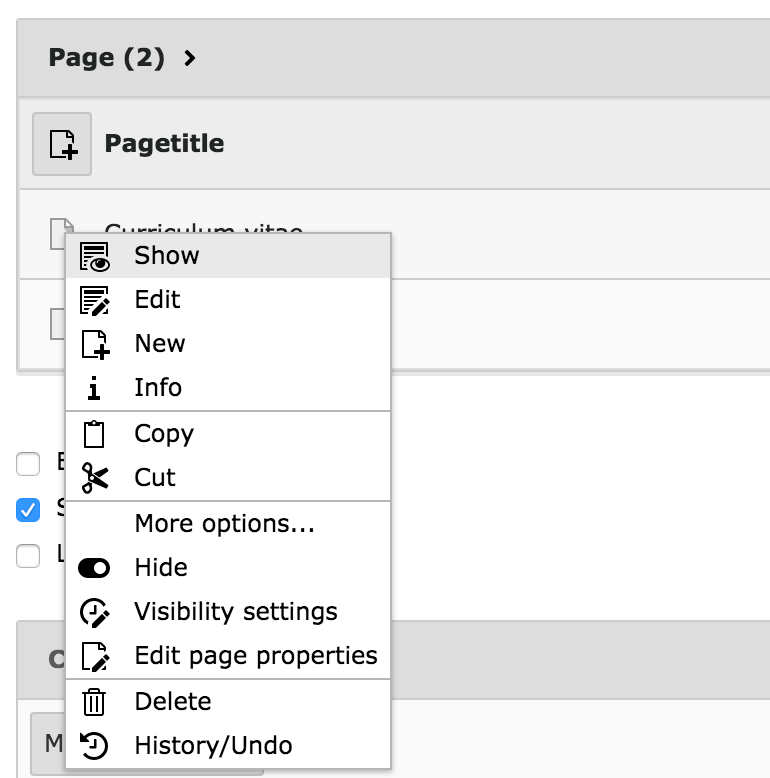 A typical contextual menu appear when clicking on a record icon